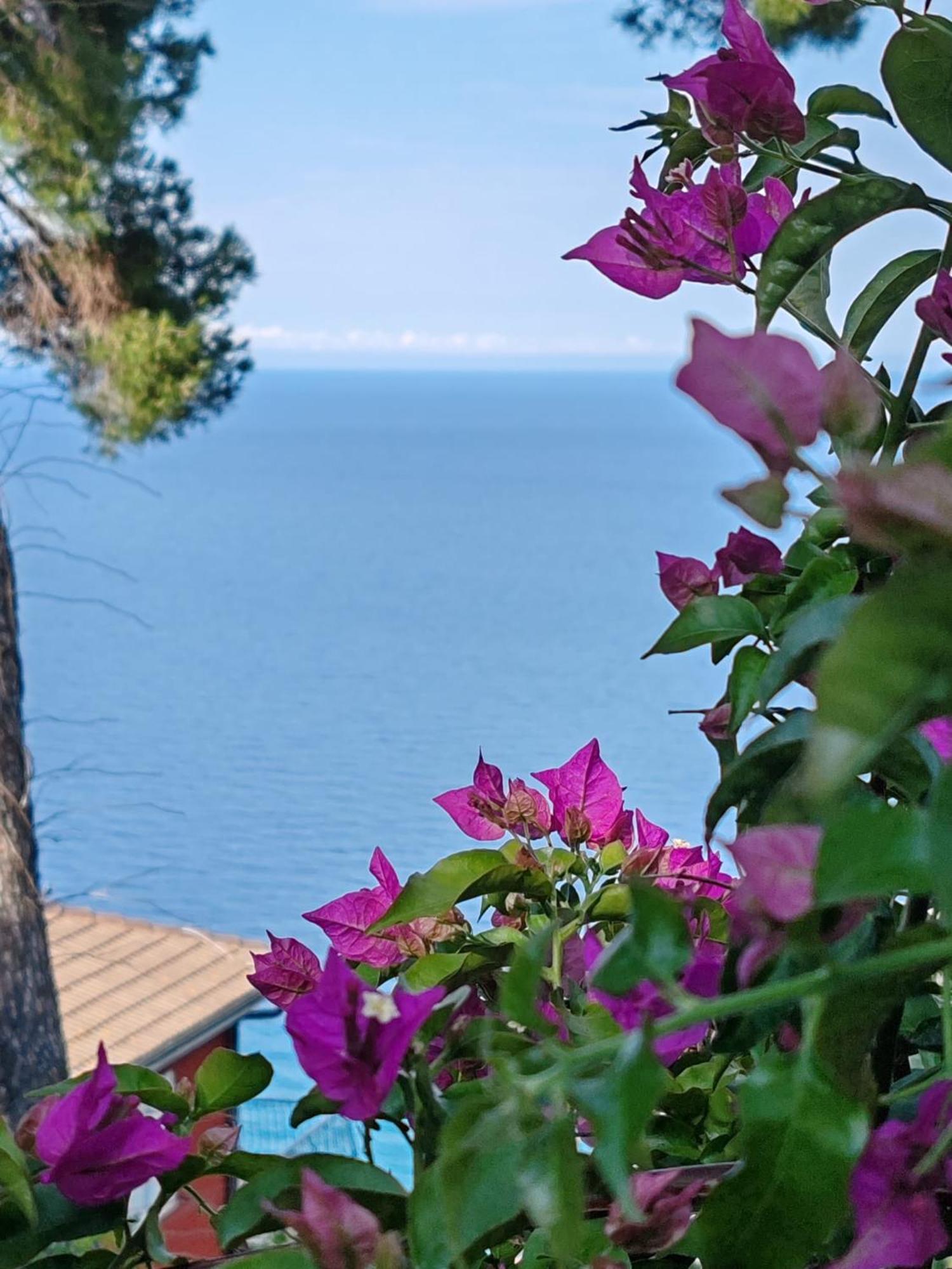 Appartamento Vista Mare Albenga Luaran gambar
